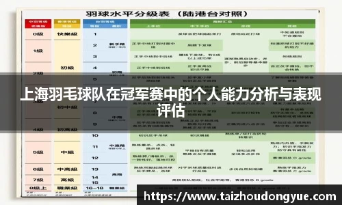上海羽毛球队在冠军赛中的个人能力分析与表现评估